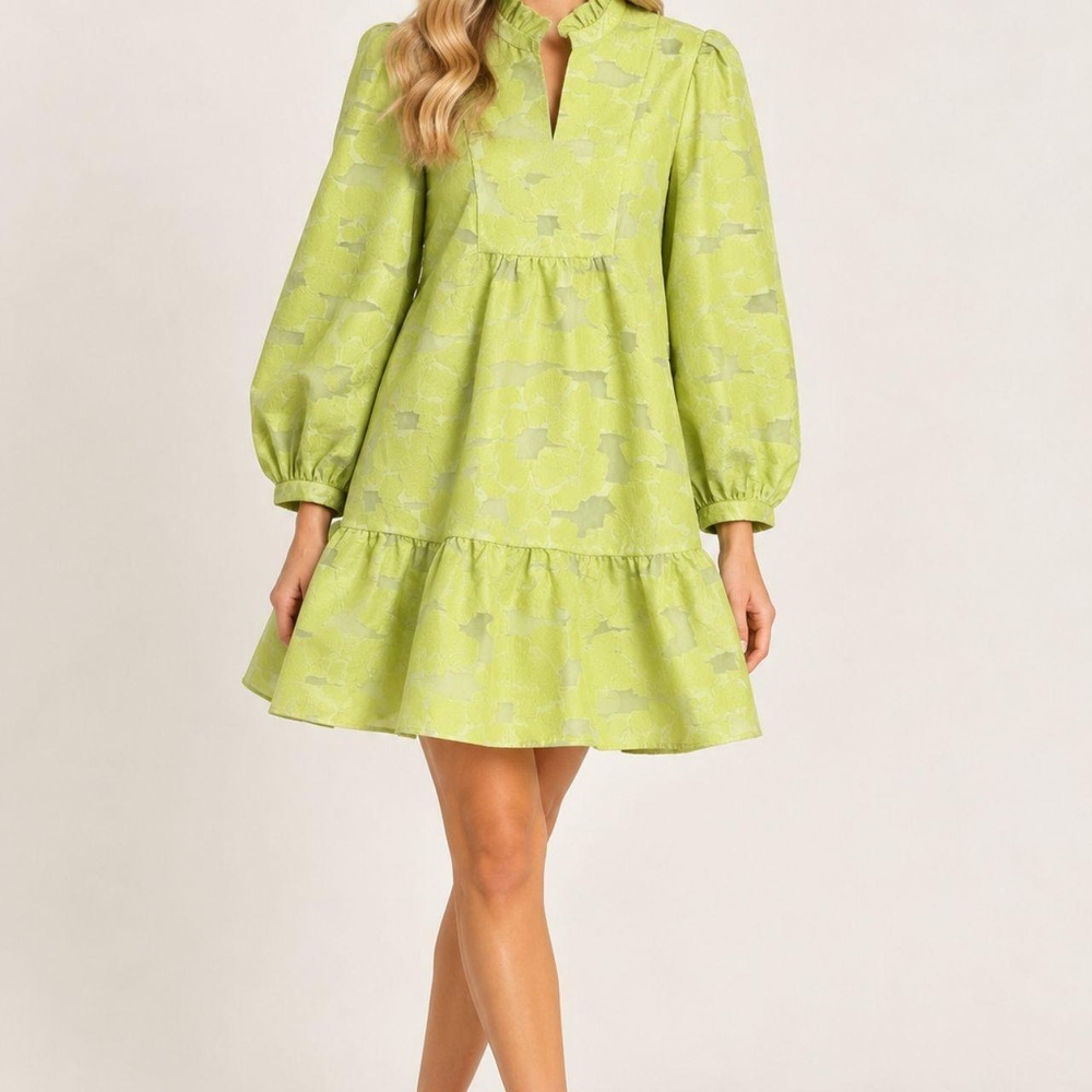 Tuckernuck Citron Fil Coupe Palmerston Dress sz XXL 2XL Floral Long Sleeve Mini